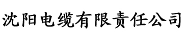 战龙无双陈宁下载电缆厂logo